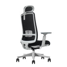 Silla Oficina Ejecutiva Ergonómica Krone Atenea Mesh 11
